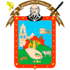 Escudo San Martin de Hidalgo