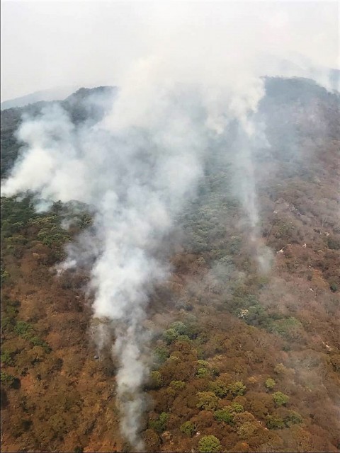 Incendio volcán de Tequila