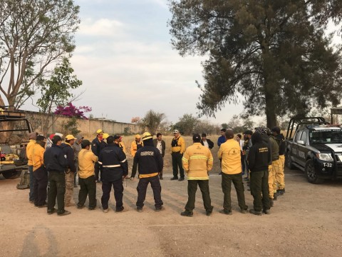 Brigadas forestales de la región Valles