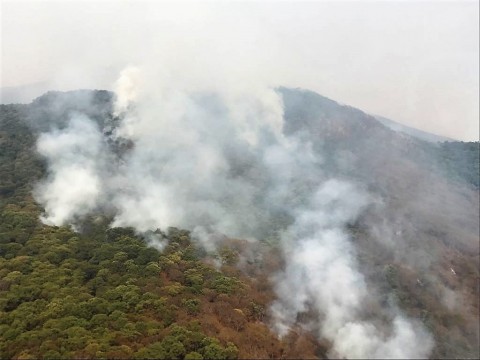 5d966ad0 b6f1 4918 9cfb 58e6ad6112ad